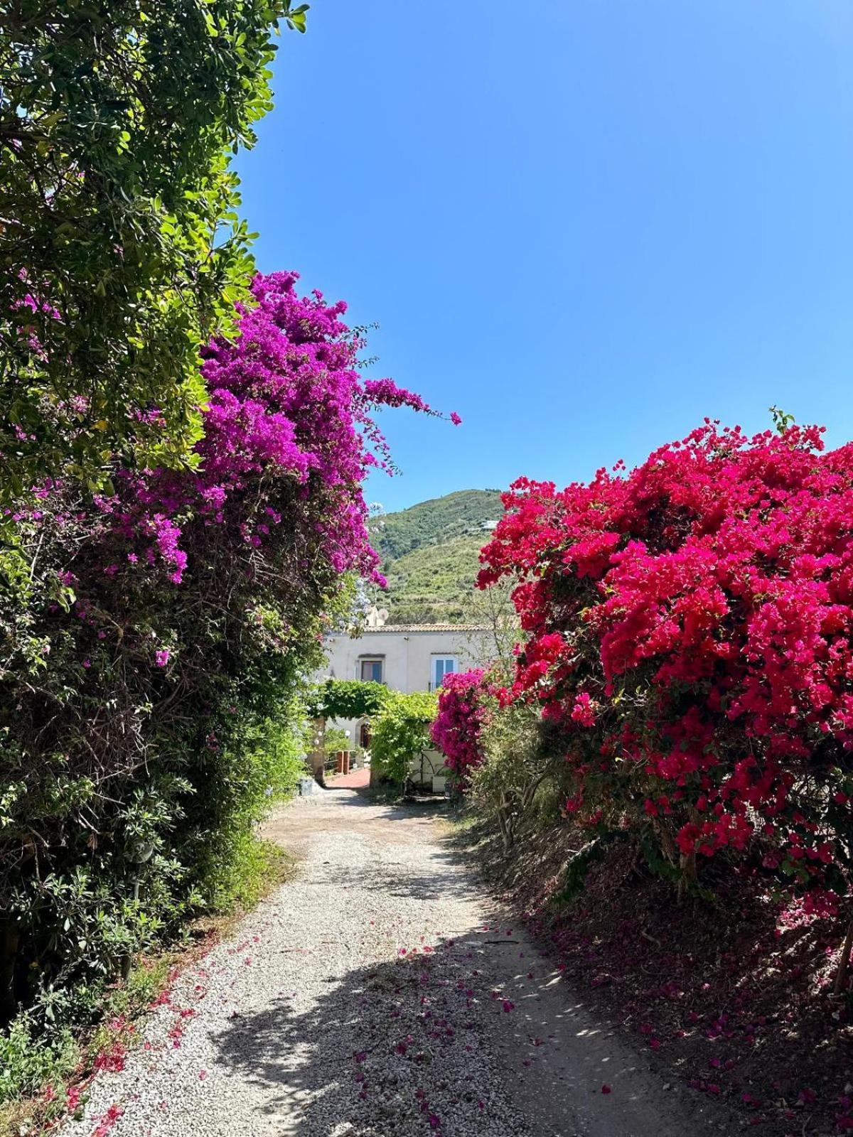 Villa Tiche Cefalù Exterior foto